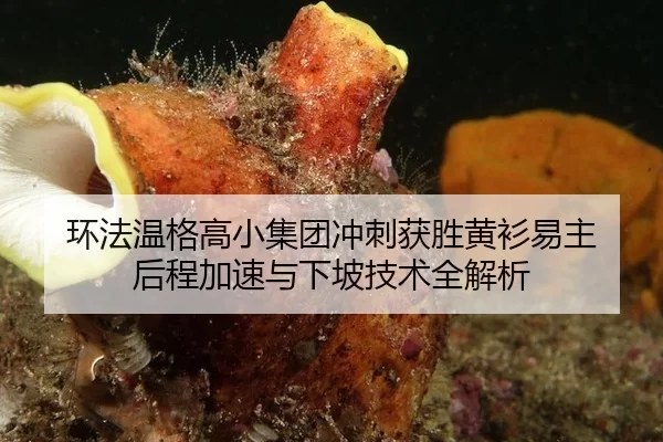 环法温格高小集团冲刺获胜黄衫易主 后程加速与下坡技术全解析